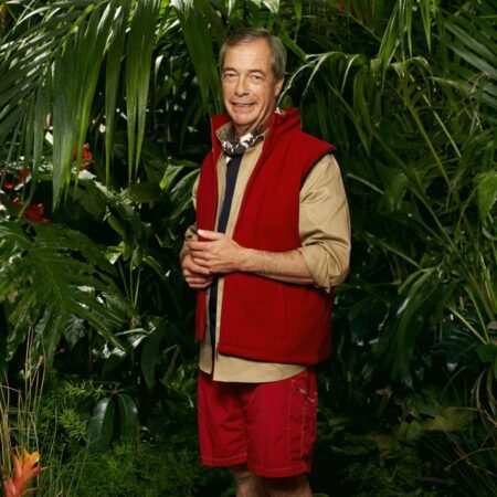 A Break from Politicians on I’m A Celebrity – Ant and Dec’s Candid Q&A