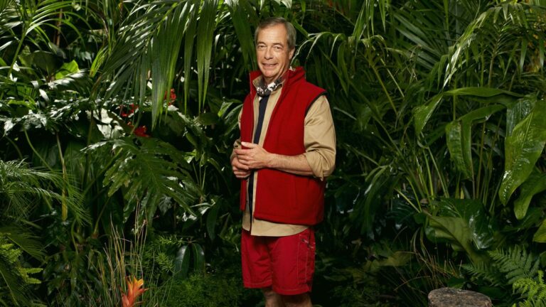 im a celeb politicians